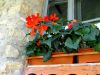 10_071 Moldovita.jpg